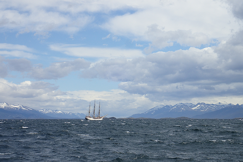 Bark Europa