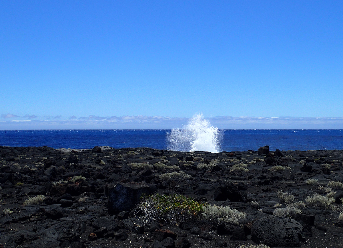 Blowhole
