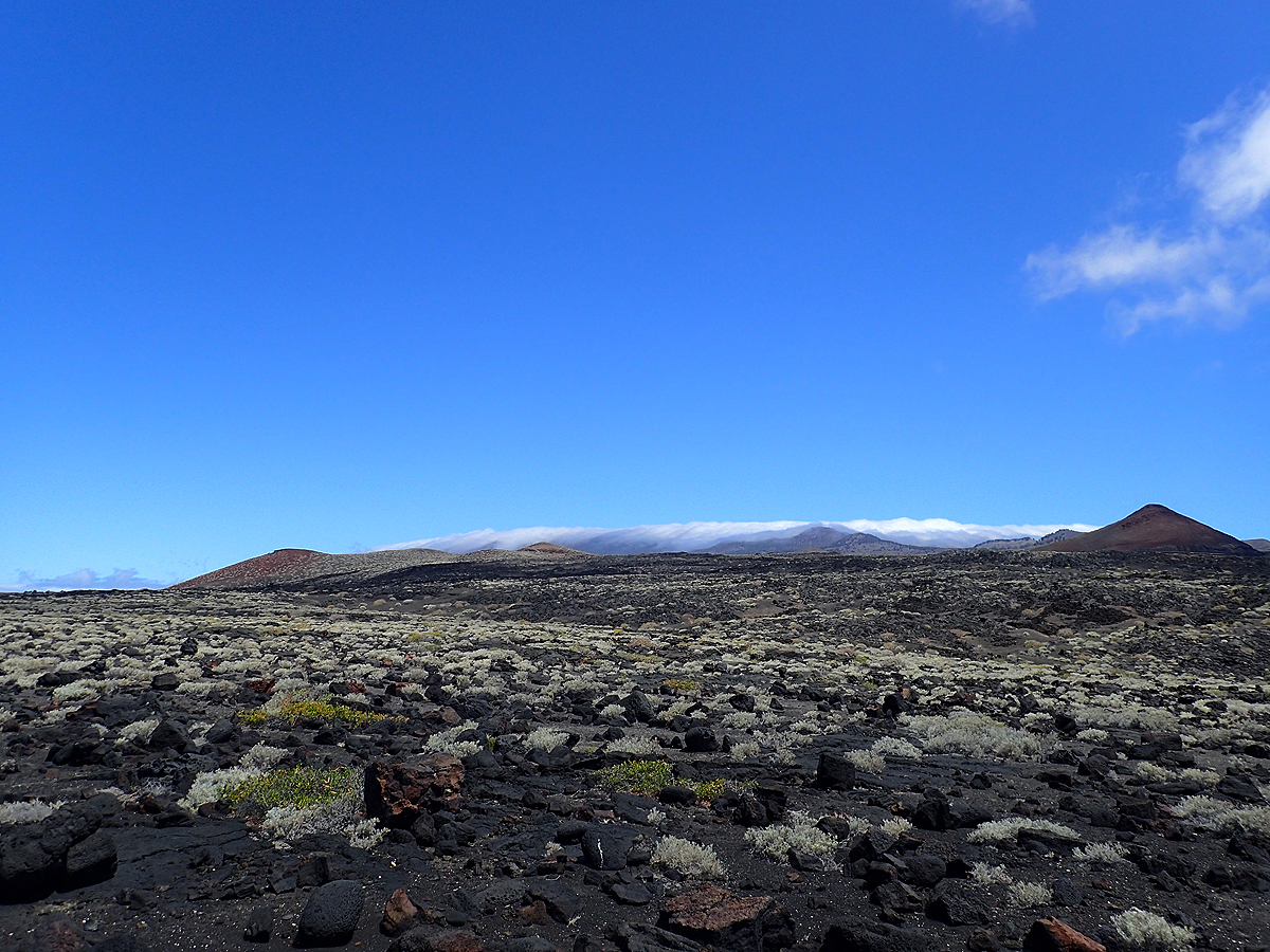 El Hierro Steppe