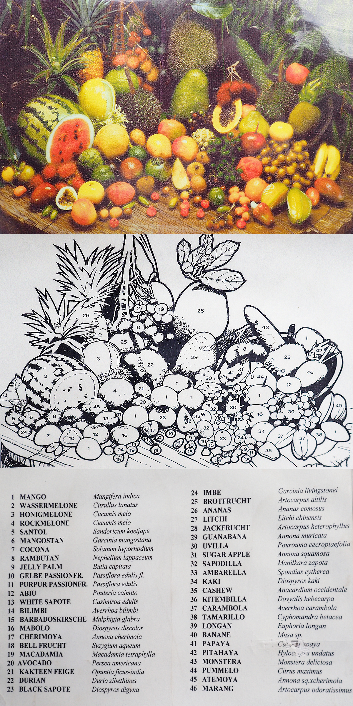 Früchte