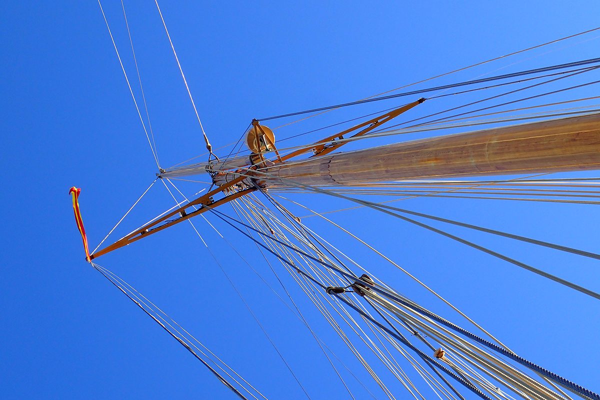 Linien