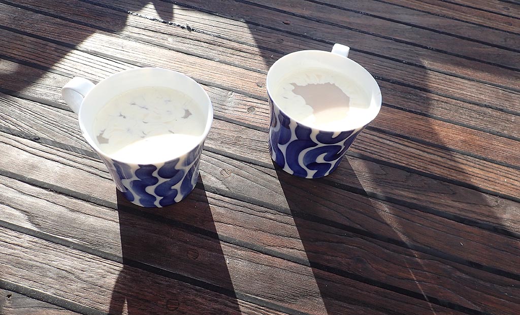 Kaffee im Canal Moraleda