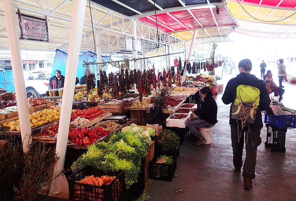 Markt in Valdivia