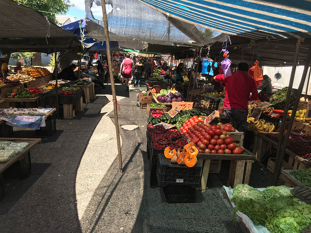 3 Markt in Valdivia